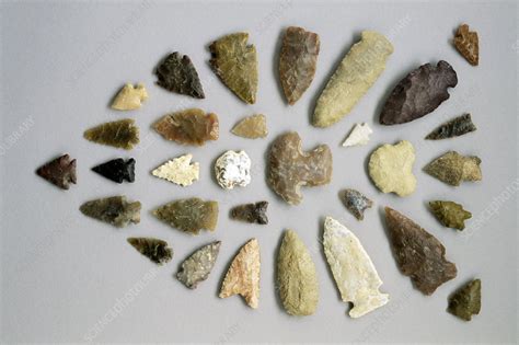 Native American arrowheads - Stock Image - E436/0063 - Science Photo ...