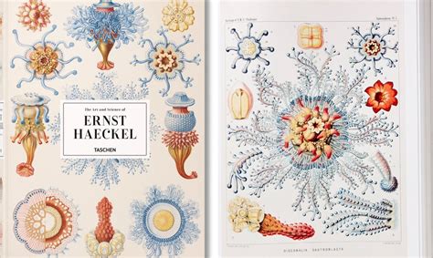 19th Century Biologist’s Illustrations of Microbes Bring Art and ...