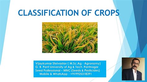 Classification of crops