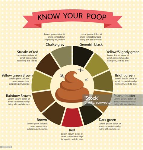 Poop Stool Color Changes Color Chart And Meaning Healthy Concept stock ...