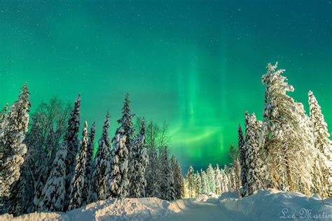 See the Northern Lights in Finnish Lapland | Where, when & how