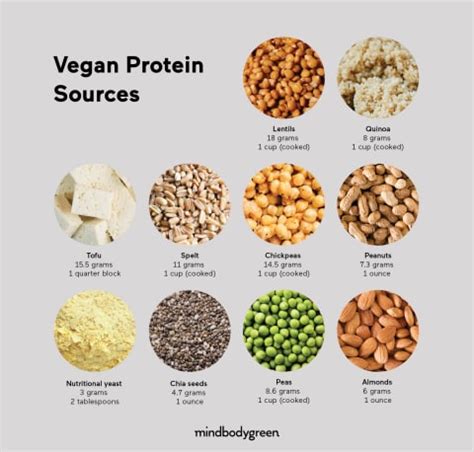 Vegetable Protein Sources Chart | Hot Sex Picture