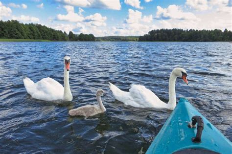 Aukštaitija National Park - By canoe across rivers and lakes