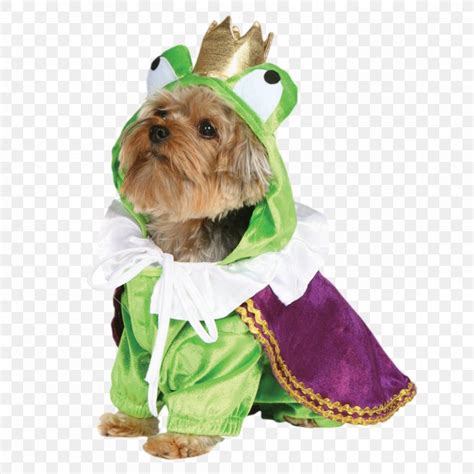 Halloween Costume Clothing Dachshund, PNG, 850x850px, Costume ...