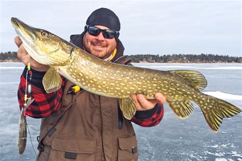 Esox Week: Pike Length To Weight Conversion Chart - In-Fisherman