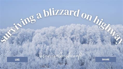 35 items to survive a blizzard on the highway#survival #nature # ...