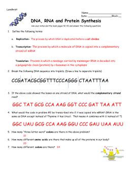 Answer Key Worksheet on DNA, RNA, and Protein Synthesis