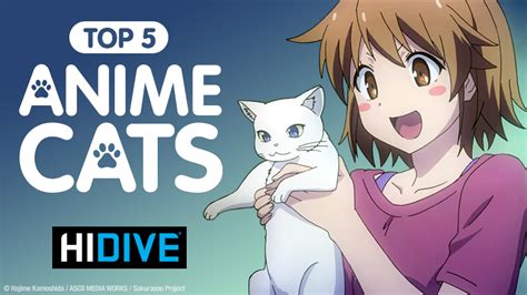 The Top 5 Anime Cats on HIDIVE