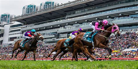 Sha Tin Racecourse - Explore Our Racecourse - Racecourses ...