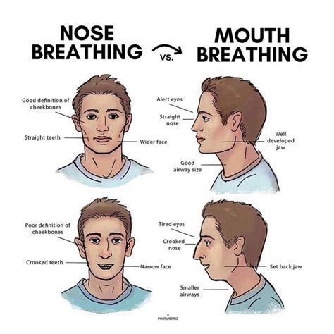 NOSE VS. MOUTH BREATHING | Yoga teacher resources, Tired eyes, Nose