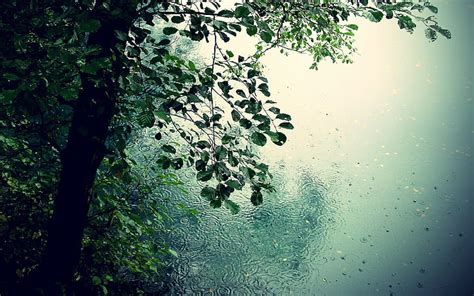 HD wallpaper: nature, rain, desktop, 1920x1200 | Wallpaper Flare