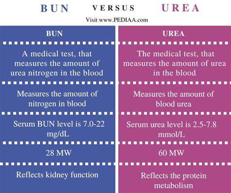 What is the Difference Between BUN and Urea - Pediaa.Com