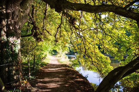 Best London Walks | Walking Routes in London for Spring | Culture