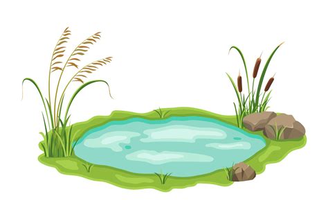 Pond with reed and sedge vegetation. Vector illustration of swamp with ...