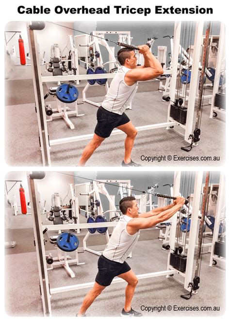 proper tricep extension form > OFF-50%