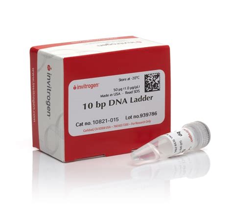 10 bp DNA Ladder - Thermo Fisher Scientific