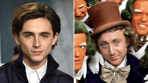 Timothée Chalamet To Play Willy Wonka In New Origin Pic For Warner Bros ...