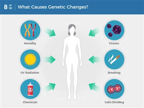 What Is Cancer? - NCI