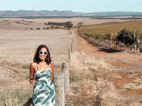 Barossa Valley wine tours - Anna Sherchand