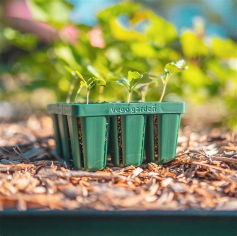 Vego Garden | Seedling Trays with Drip Irrigation & Air Pruning Strips