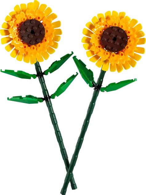 LEGO Creator Sunflowers (40524) Officially Revealed! – The Brick Post!