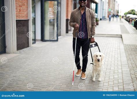 Guide Dog Helping Blind Person with Long Cane Walking in City Stock ...