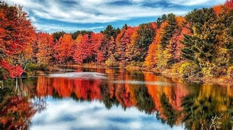 Fall colors peak in Maine | WPFO