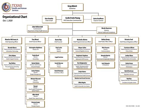 TXHHS Organizational Chart | Hogg Foundation for Mental Health