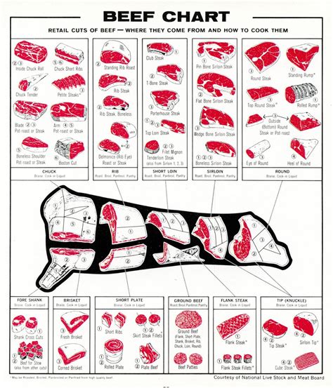 Beef meat chart - know your cuts of beef, steak, brisket, flank, ribeye ...