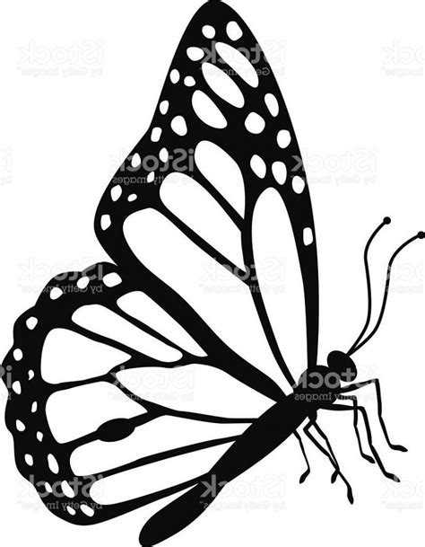 Monarch Butterfly Drawing Black And White at PaintingValley.com ...