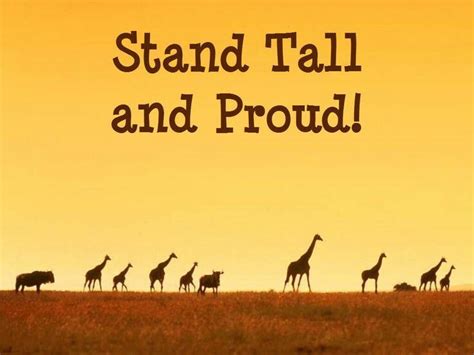 Stand tall and proud | Stand tall, How are you feeling, Life is an ...