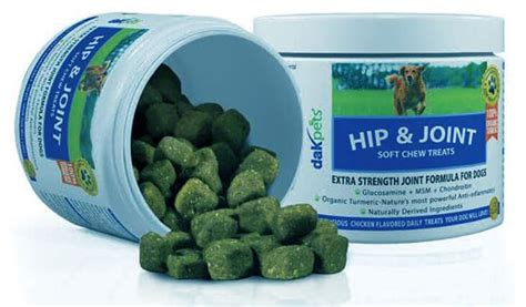 Top 15 Best Joint Supplements for Dogs – Exqeo