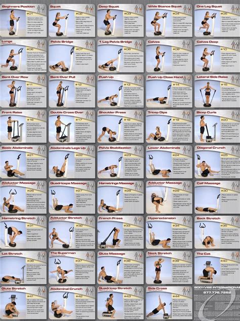 Work Out Chart Inspirational Vibration Plate Exercises & Workout Videos ...