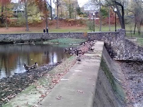 County Lowers Verona Park Lake Level - MyVeronaNJ