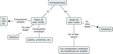 Biologia con Pau jaja: Actividad.- Mapa Fotosíntesis.