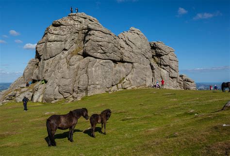 5 Best Dartmoor Walks | Coast & Country Cottages