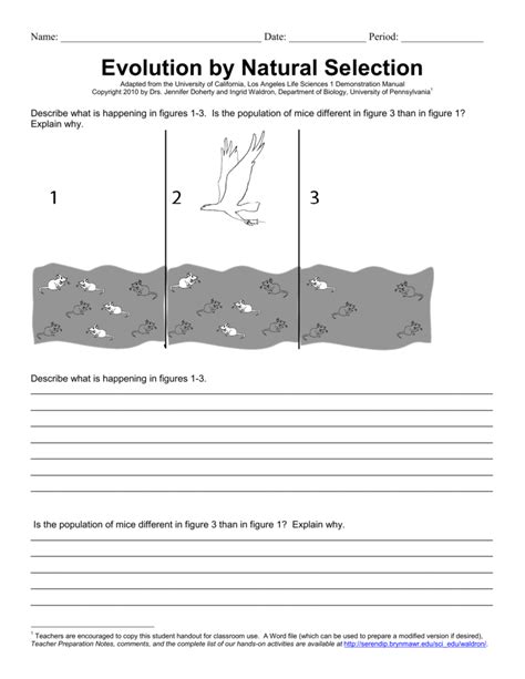 Evolution By Natural Selection Worksheet — db-excel.com