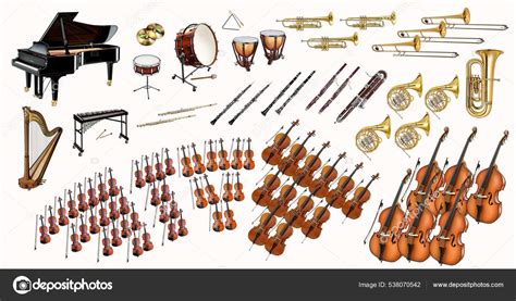 Symphony Orchestra Diagram Arrangement Musical Instruments Isolated ...