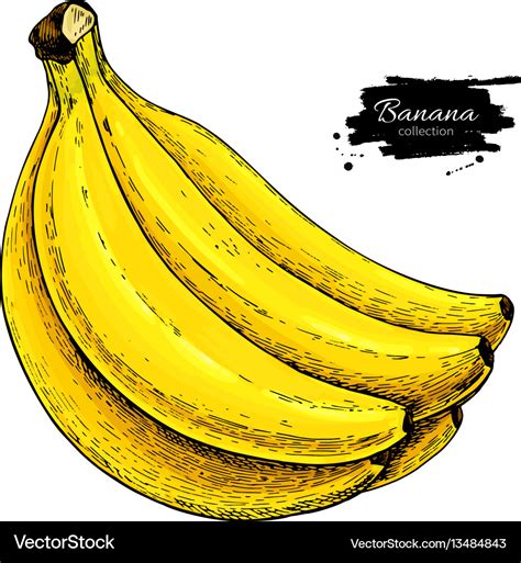 Drawing Banana Illustration - Download Illustration 2020