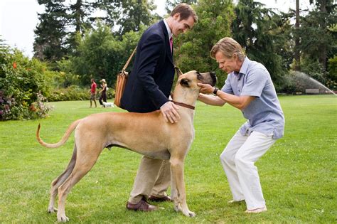 Marmaduke (2010)