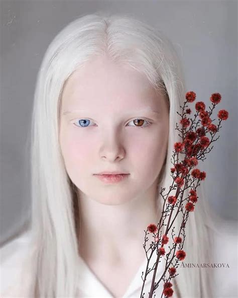 [Photo] - Albino chiobu with different coloured eyes | Sam's Alfresco ...