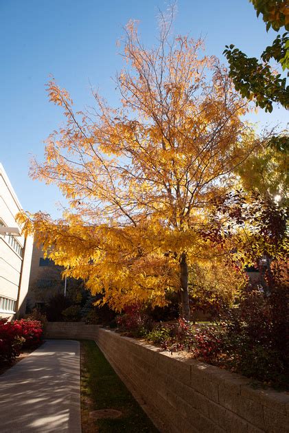 BYU-Idaho | Fall | Fall Campus - Oct 2023