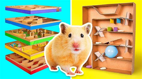 Diy hamster maze - qusttotal