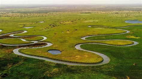 Okavango River delta History, Wildlife and Fun Activities