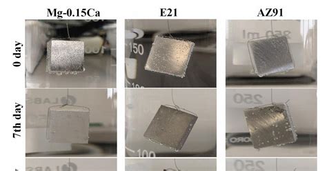 New magnesium alloy shows exceptional corrosion resistance | Research ...