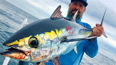 FISHING for GIANT Blackfin TUNA & Kingfish south west coast of FLORIDA ...