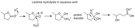 Why does ring opening reaction (of lactones) often follow nucleophilic ...