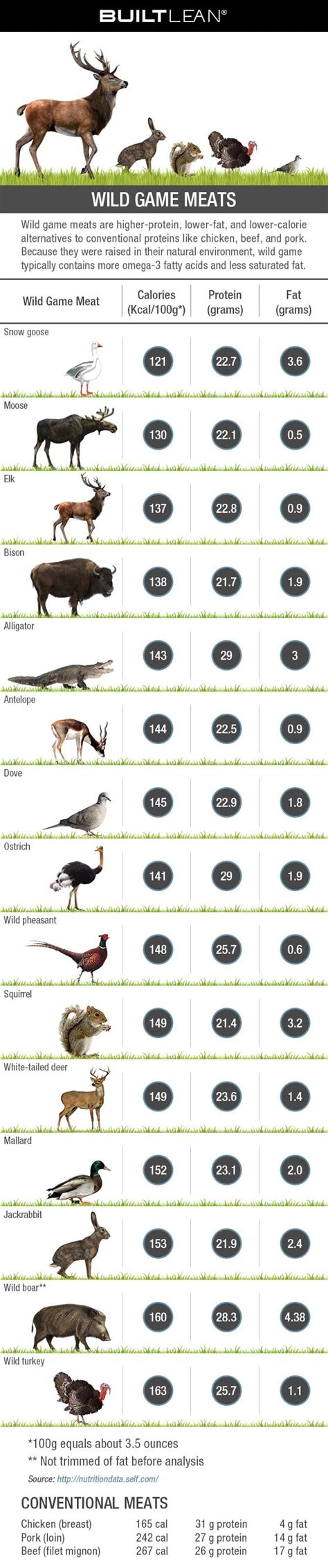 15 Wild Game Meats Ranked By Calories, Protein, & Fat