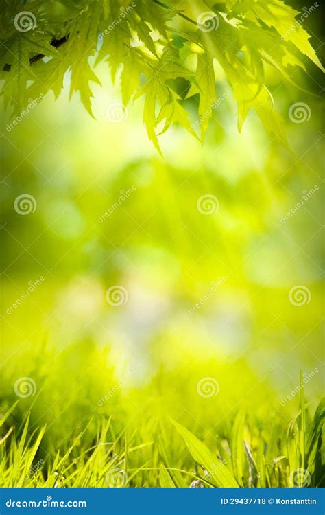 Abstract Spring Nature Green Background Royalty Free Stock Photos ...