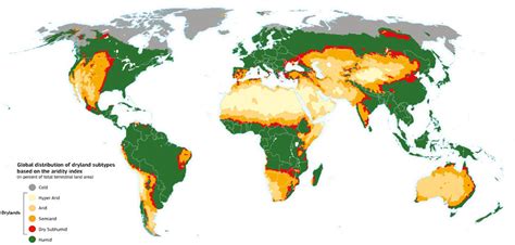 What is desertification and how to fight it? | by environment4change ...